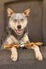 Redbarn 9" Braided Bully Sticks