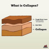 Redbarn Collagen Stick - XL