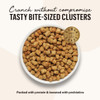 The Honest Kitchen Food Clusters CAT Grain Free Turkey & Chicken 1 lb Bag