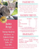 Goodness Gracious Gently Cooked Rabbit Recipe CAT Food, 2lb