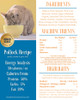 Goodness Gracious Gently Cooked Pollock Recipe CAT Food, 2lb