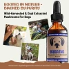 MycoDog Mushroom Tincture DOG Breathe 1oz