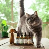 MycoDog Mushroom Tincture CAT Digest 2oz