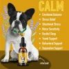 CBD Dog Health Tinture DOG Calm 2oz