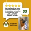 CBD Dog Health Topical DOG Shampoo 12oz
