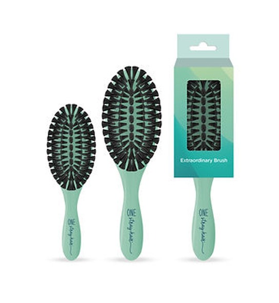 One Stray Hair Sea Glass Oval Boar Tufted Bristle Brush For Dogs, Large