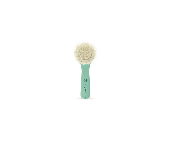 One Stray Hair Sea Glass Powder Brush For Dogs