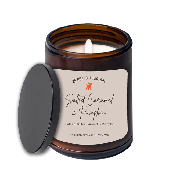 10% Off - K9 Granola Factory Pet Friendly SOY Candle - 9oz, Salted Caramel & Pumpkin