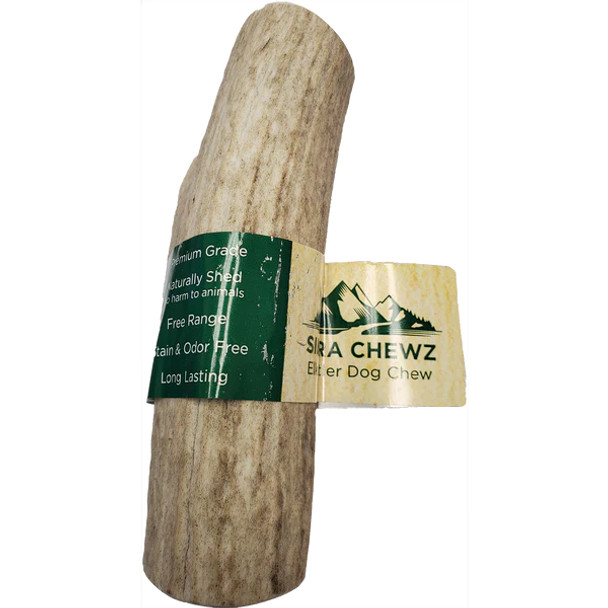 Sierra Whole Elk Antler - XX Large