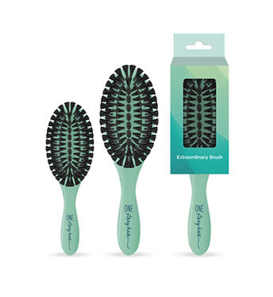 One Stray Hair Sea Glass Oval Boar Tufted Bristle Brush For Dogs, Large