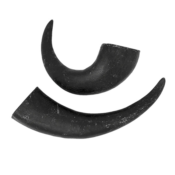 PeaksNPaws Water Buffalo Horns Sm