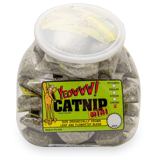 20% OFF Winter Sale - Yeowww! Jug w/ 50 Catnip Minis