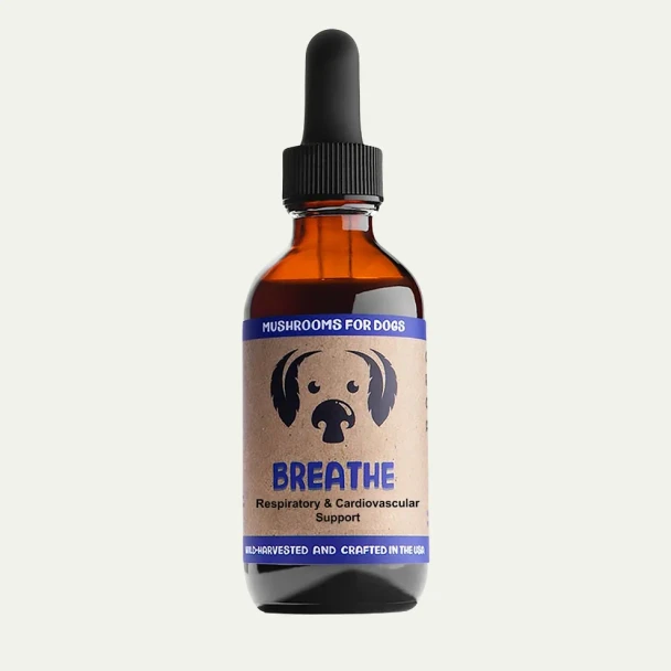 MycoDog Mushroom Tincture DOG Breathe 1oz