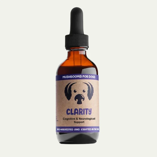 MycoDog Mushroom Tincture DOG Clarity 2oz