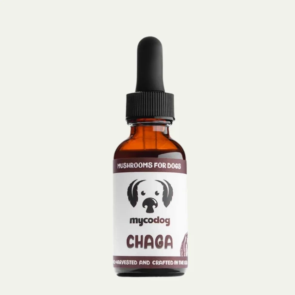 MycoDog Mushroom Tincture DOG Chaga 1oz
