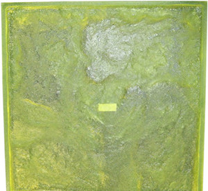 Form Liner - Special 29 x 30 x 1 Rock Face Liner - Poured 1" Short to use on the end of a 30"x30" Form Form Liner - Special 29 x 30 x 1 Rock Face Liner - Poured 1" Short to use on the end of a 30"x30" Form