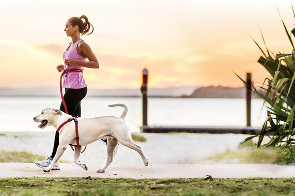 10 Tips for Running with your Dog