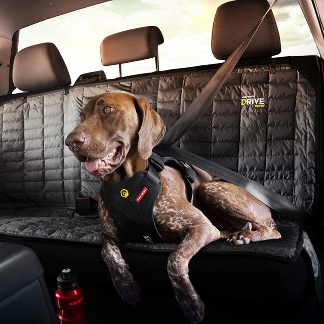 15 Best Dog Car Harnesses For 2021 – Shop Now