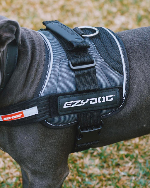 how do you measure ezydog harness