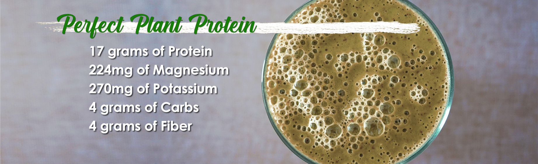 Plant Protein booster