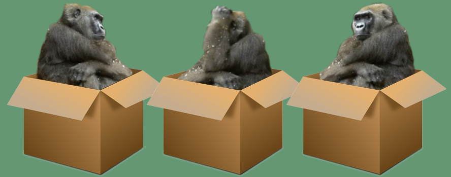 Why We Don’t Ship Gorillas. A Perfect Customer Care Story