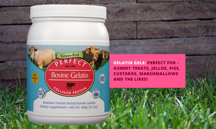 7 Tips and Tricks For Working With Grass-Fed Bovine Gelatin