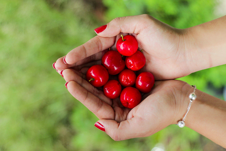 Getting to Know Acerola Cherry