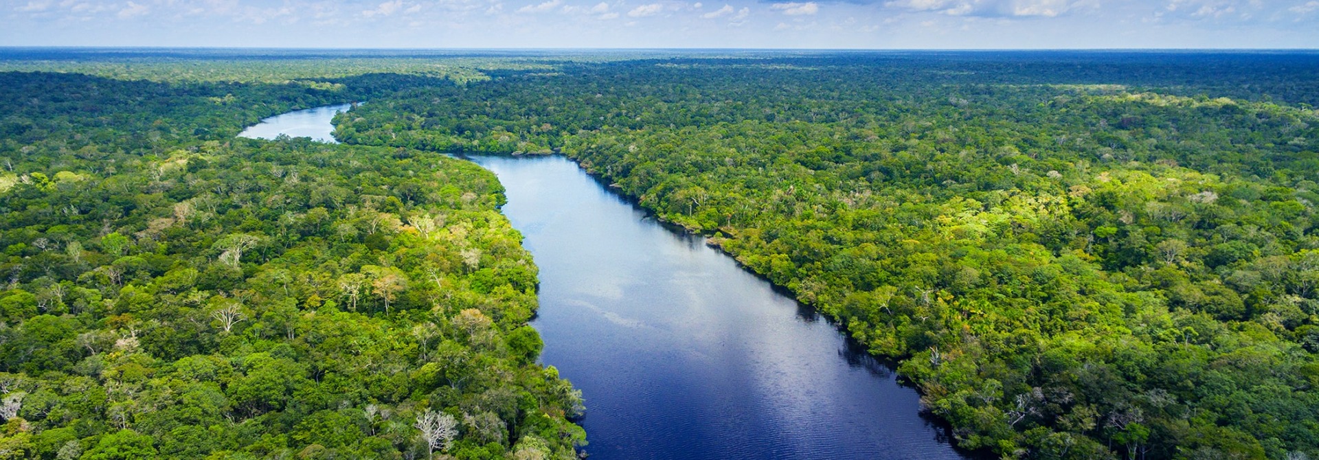 Why Protecting Over 20,000 Acres of Rainforest Is So Important To Us