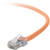 Belkin Cat. 5E UTP Patch Cable - RJ-45 Male - RJ-45 Male - 2ft - Orange