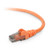 Belkin Cat. 6 UTP Patch Cable - RJ-45 Male - RJ-45 Male - 15ft - Orange