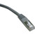 Eaton Tripp Lite Series Cat6 Gigabit Molded Shielded (FTP) Ethernet Cable (RJ45