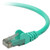 Belkin Cat. 6 UTP Patch Cable - RJ-45 Male - RJ-45 Male - 15ft - Green