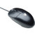 V7 M30P10-7N Standard USB Mouse - Optical - USB - 1000dpi - Scroll Wheel - 3 But