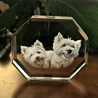 Photo Crystal Octagonal 2D paperweights Photo Crystal Octagonal 2D paperweights