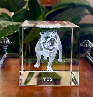 Crystal Print 3D Crystal Pet Cube, 3D-printed transparent cube with engraved bulldog figurine and the name TUG at the base.