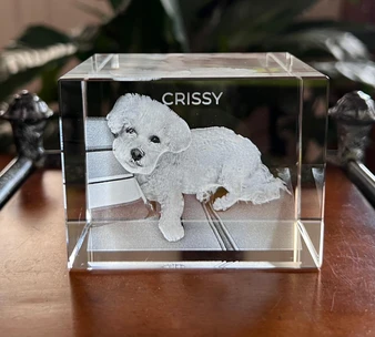 3D Pet Crystal Block, clear acrylic block featuring a detailed engraved image of a small puppy with the name 'CRISSY' engraved above. K9 crystal