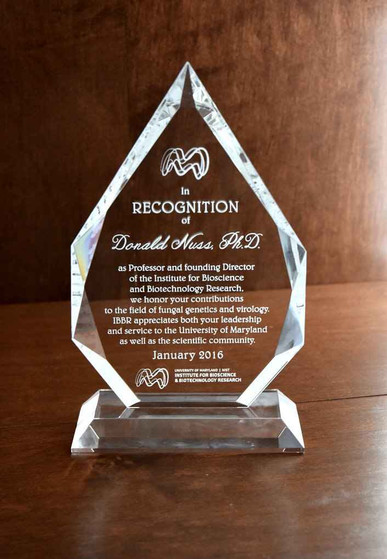 Photo Crystal 2D Royal Diamond Award