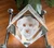 Crystal Print 3D Diamond Pet Crystal, a transparent 3D engraved crystal cube featuring the detailed portrait of a dog, named Lenny, resting on a decorative metal stand.
