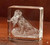 Crystal Prints Pet Memorial Small Square 2D Paperweight 