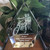 Doogma 3D Prestige Crystal    Doogma 3D Prestige Crystal