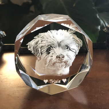 Pet Memorial Jeweled Puck