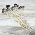 UltraCore 2.0 Pre-Tabbed Wicks product image