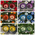 How to Make Daisy Flower Candles product image