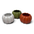 28 oz. Cinderella Pumpkin Ceramic Vessels