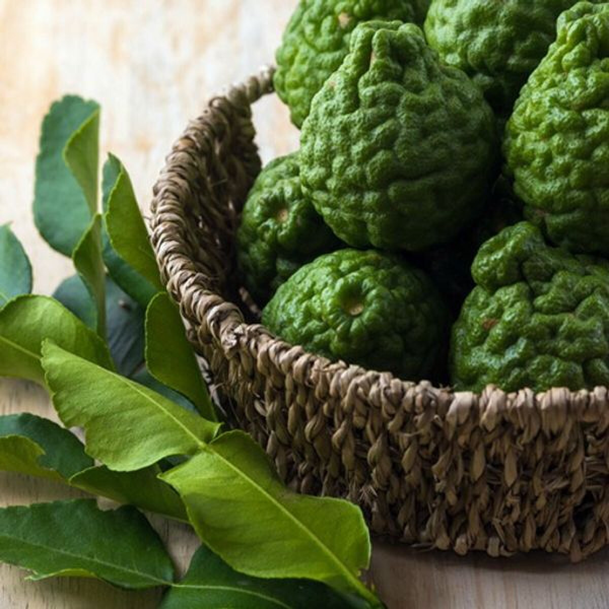 Bergamot Tobacco Fragrance Oil