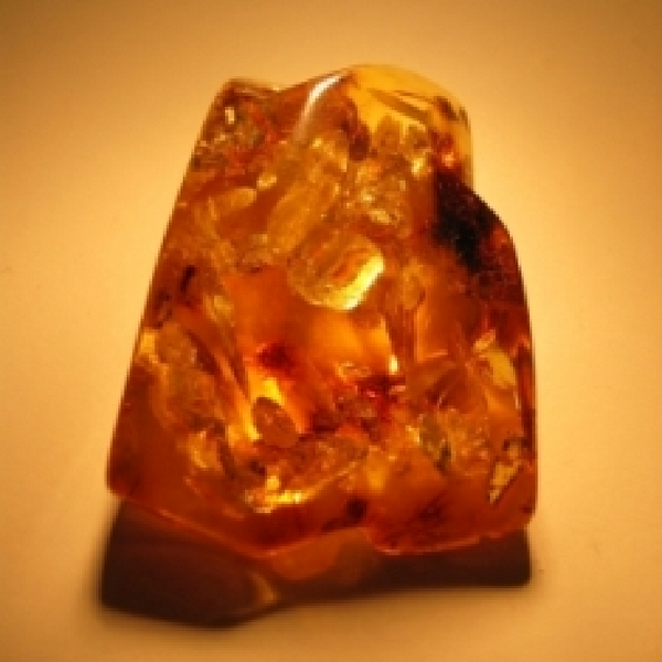 Amber Sensual Fragrance Oil product image