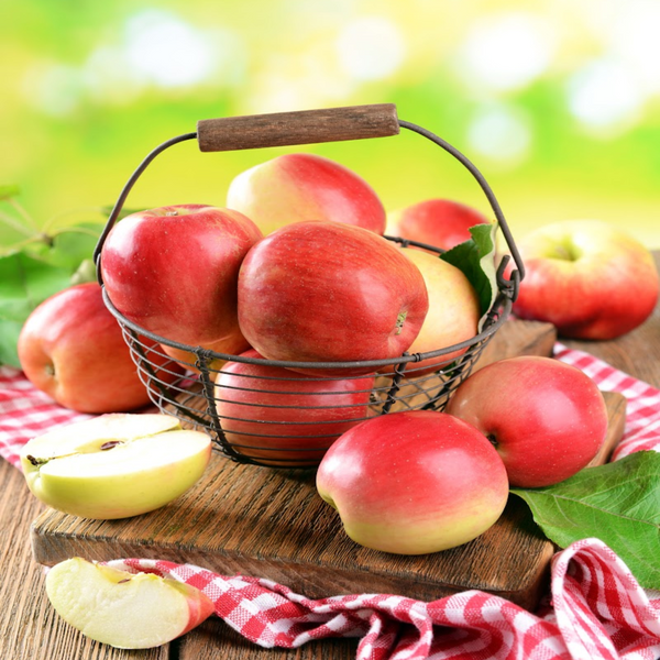 Apple Fragrance Oil product image