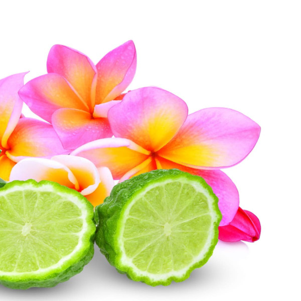 Bergamot Fragrance Oil product image