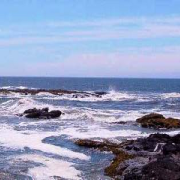 Oceans (Pier 1 Type) Fragrance Oil product image