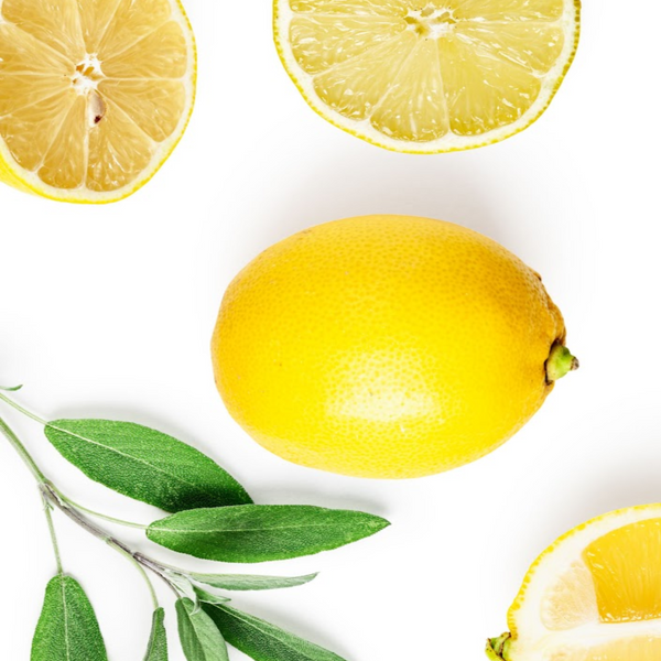 Sage & Citrus (Yankee type) Fragrance Oil product image